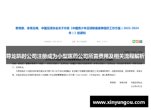 尊龙凯时公司注册成为小型医药公司所需费用及相关流程解析